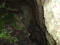 iara Scorciavacca-20110306 053
